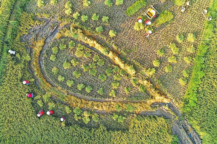 四川全域转入低风险，农村地区疫情防控力度不减反增 秋收返乡村民多 农村防疫再“<font color='red'>添</font>把火”