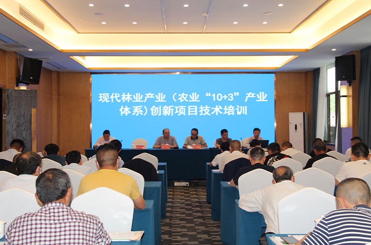 省林业和草原局科技服务团下沉剑阁县开展创新<font color='red'>项目</font>技术培训