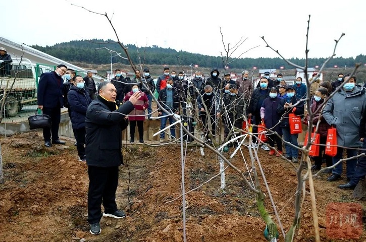 不负春光 <font color='red'>剑阁县</font>300多名“田秀才”下田教技术