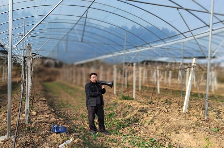 <font color='red'>剑阁县</font>开展猕猴桃春管技术培训