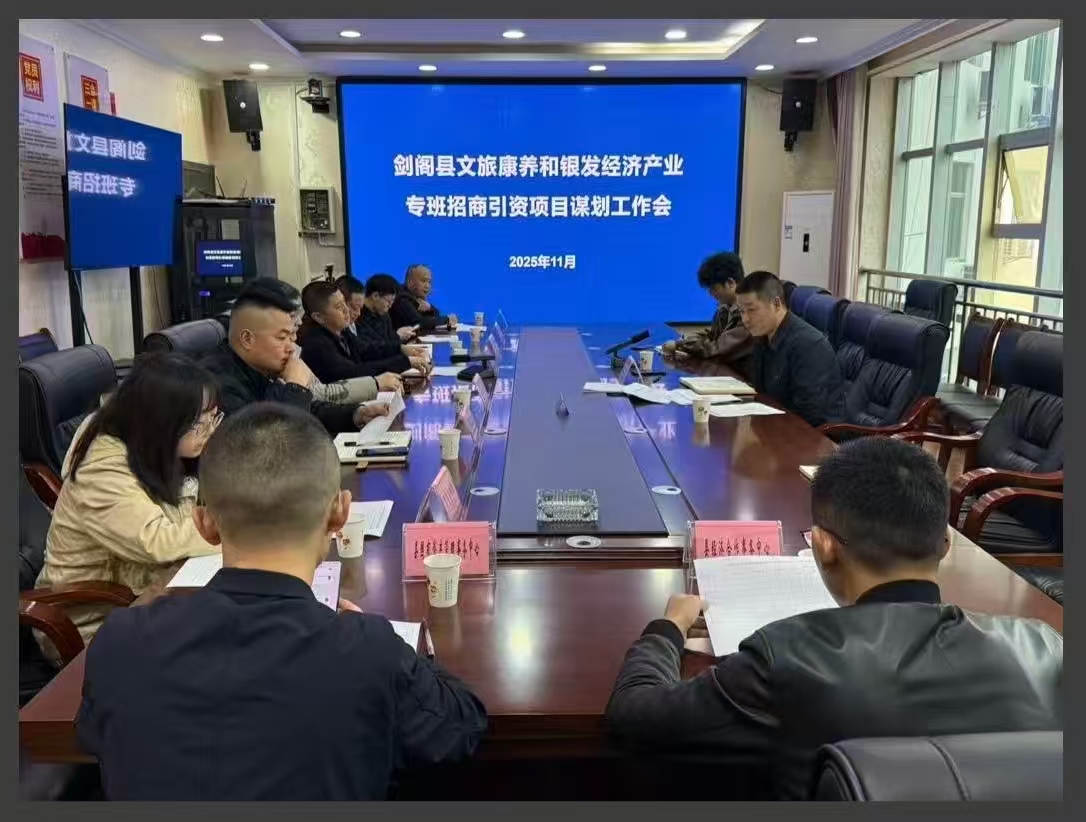 召开文旅康养和银发经济产业专班招商引资<font color='red'>项目</font>谋划工作会