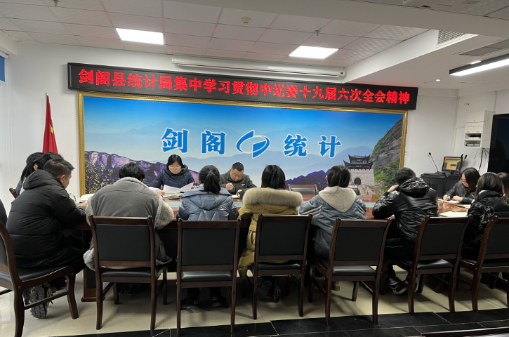 <font color='red'>剑阁县</font>统计局学习贯彻中纪委十九届六次全会精神