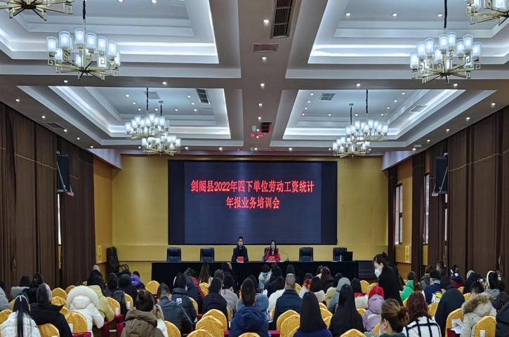 <font color='red'>剑阁县</font>统计局召开2022年劳动工资统计年报业务培训会