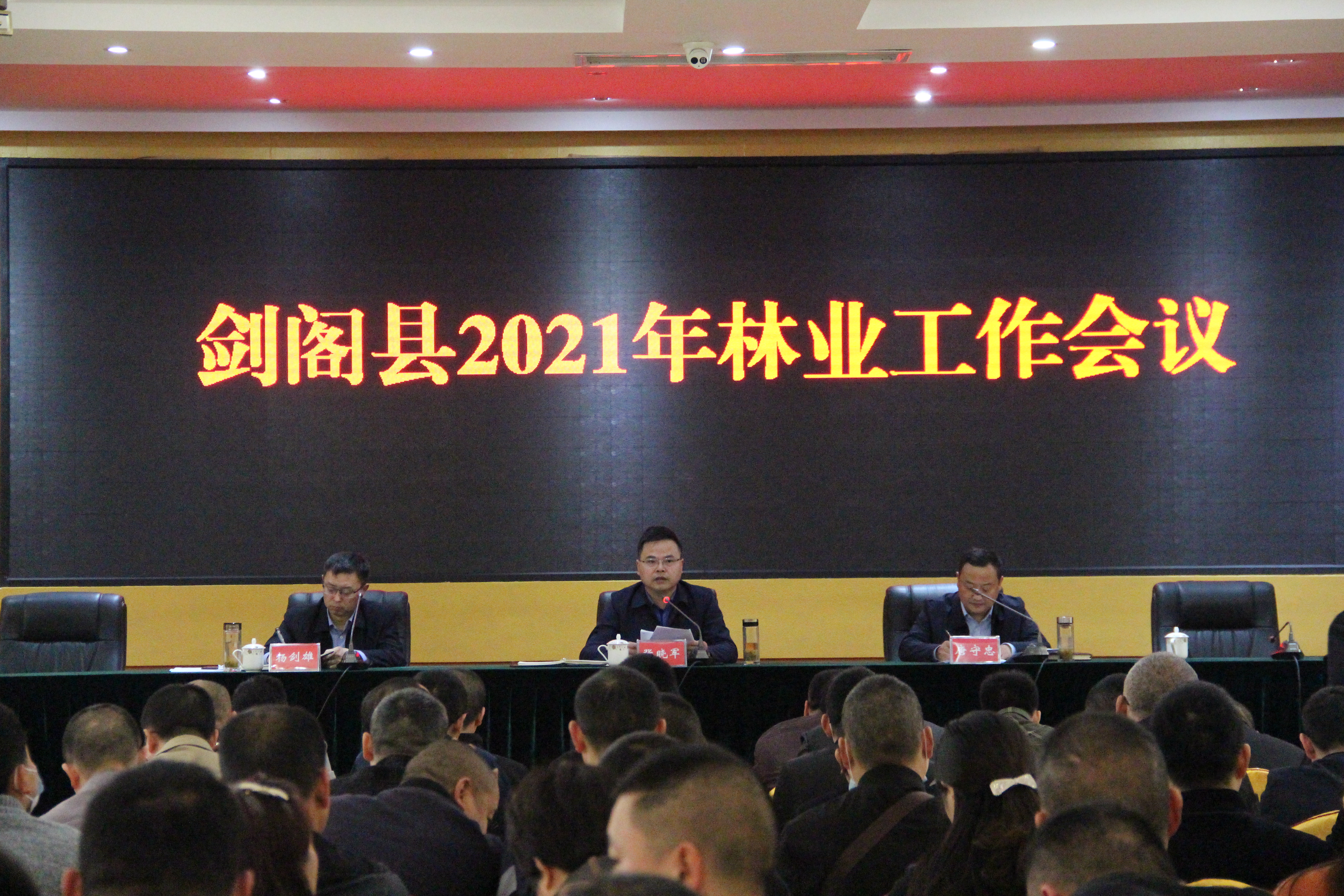<font color='red'>剑阁县</font>召开2021年林业工作会议