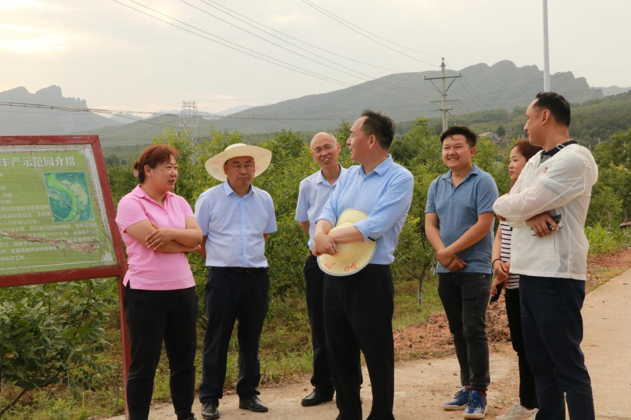 刘继洪调研<font color='red'>剑阁县</font>省级现代林业园区创建工作