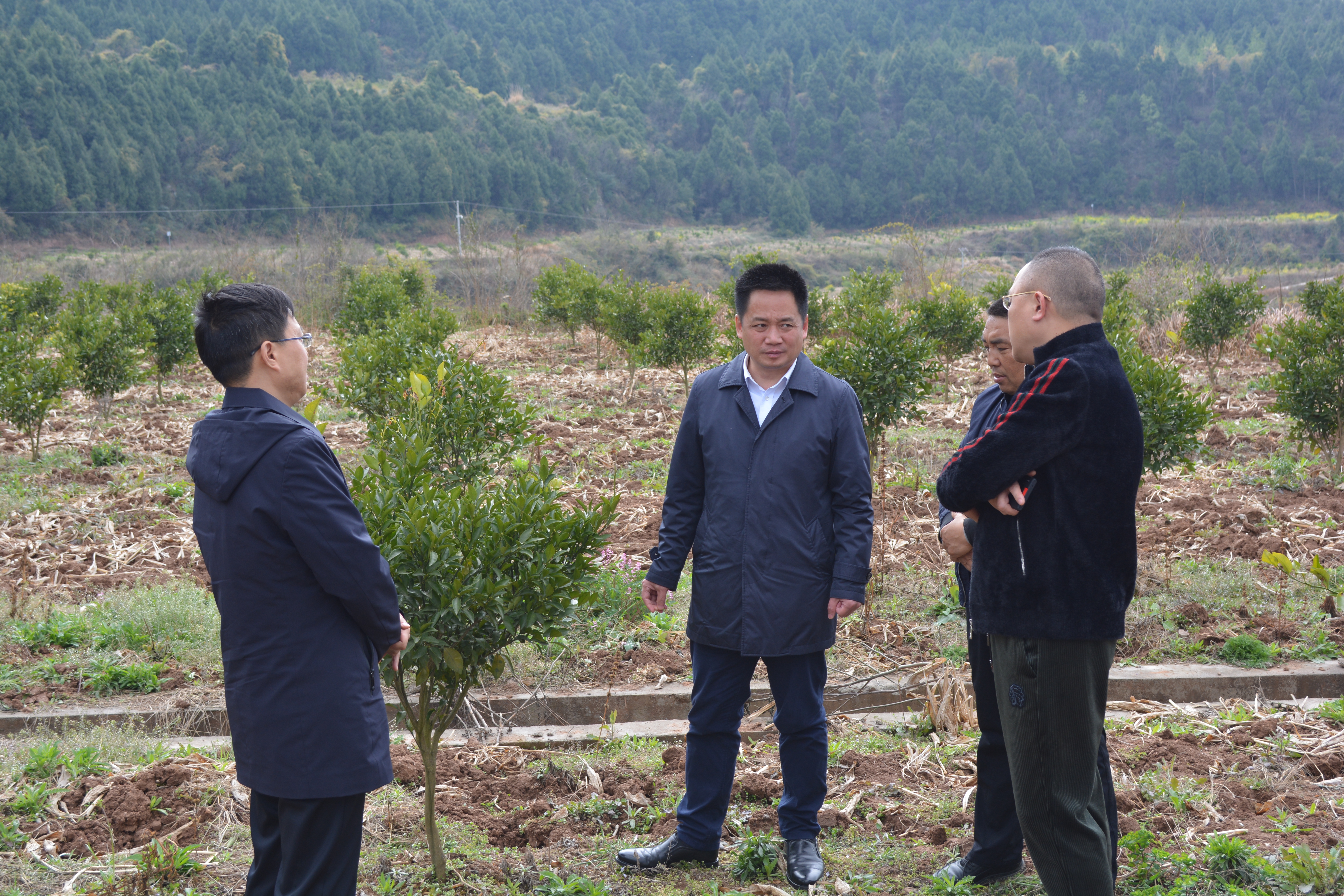 <font color='red'>公</font>兴镇：县委副书记刘强到人马垭村调研产业发展工作