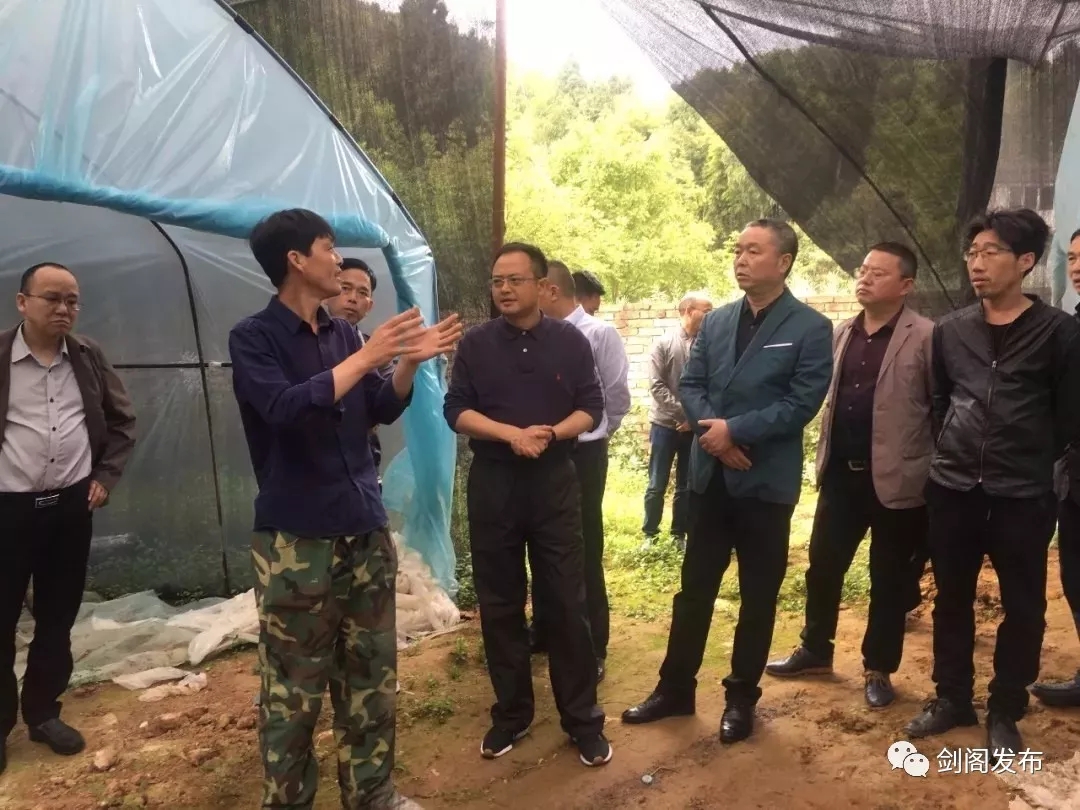 C:\Users\xzf1\Desktop\640.webp (1).jpg